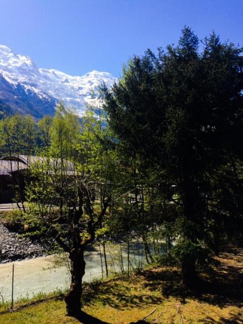שאמוני Studio Lumineux Avec Vue Sur Le Massif Du Mont-Blanc מראה חיצוני תמונה